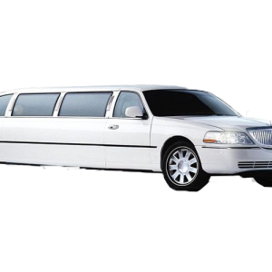 LINCOLN TOWN PARTY Limousine