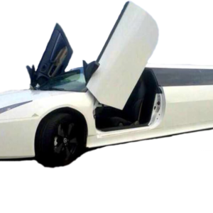 LAMBORGHINI LUXURY REVENTON